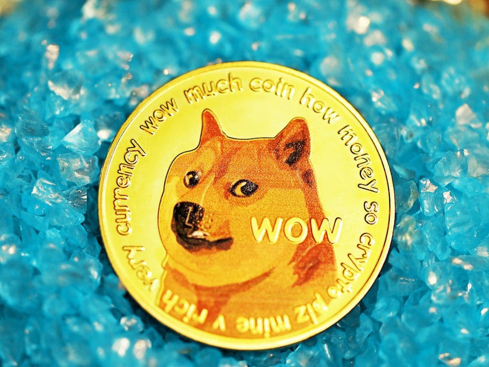 What You Need To Know About Shiba Inu Coin - Prestmit