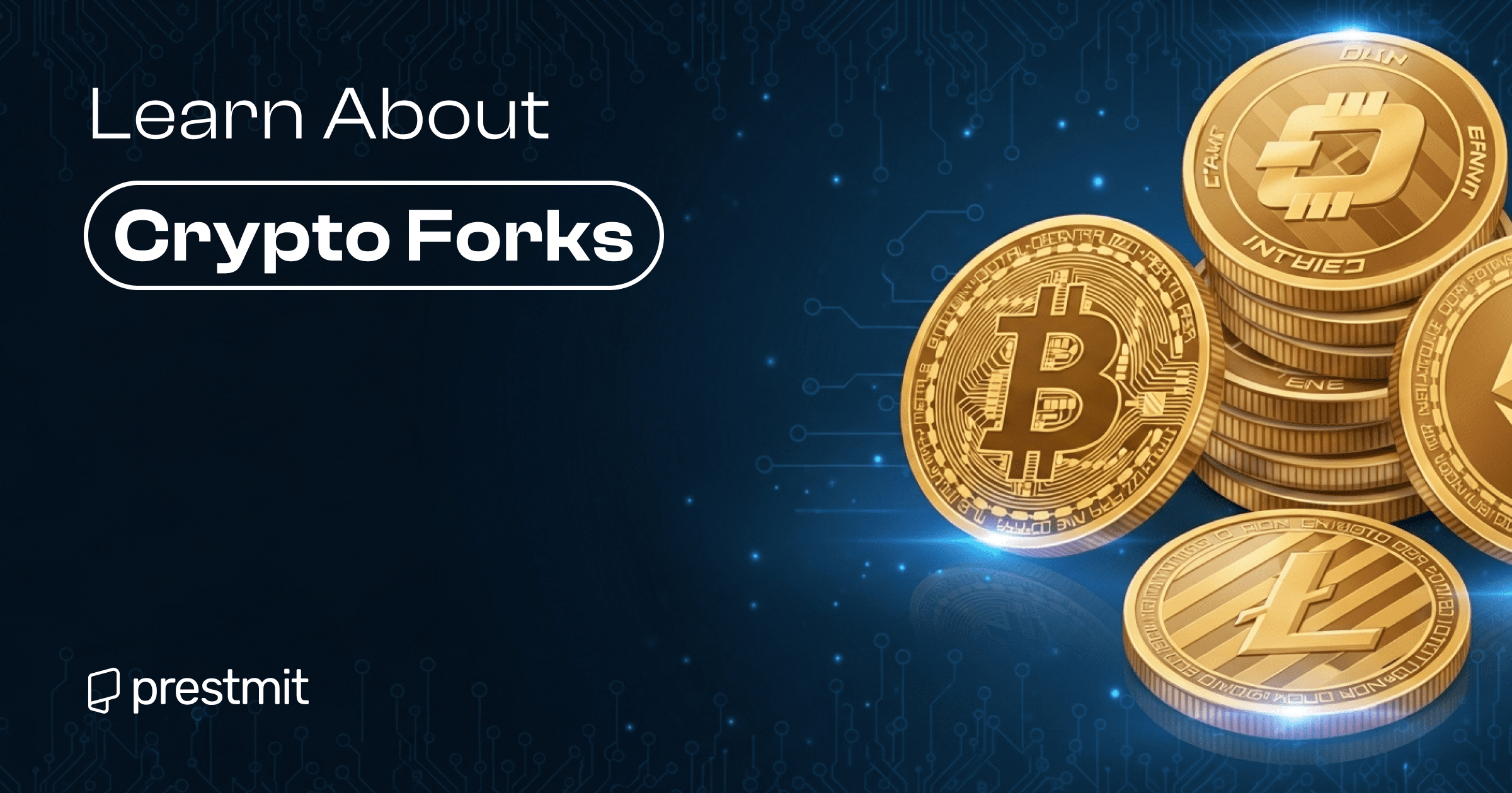 What Are Cryptocurrency Forks? Everything You Should Know