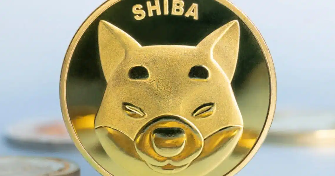 Top shitcoins to buy
