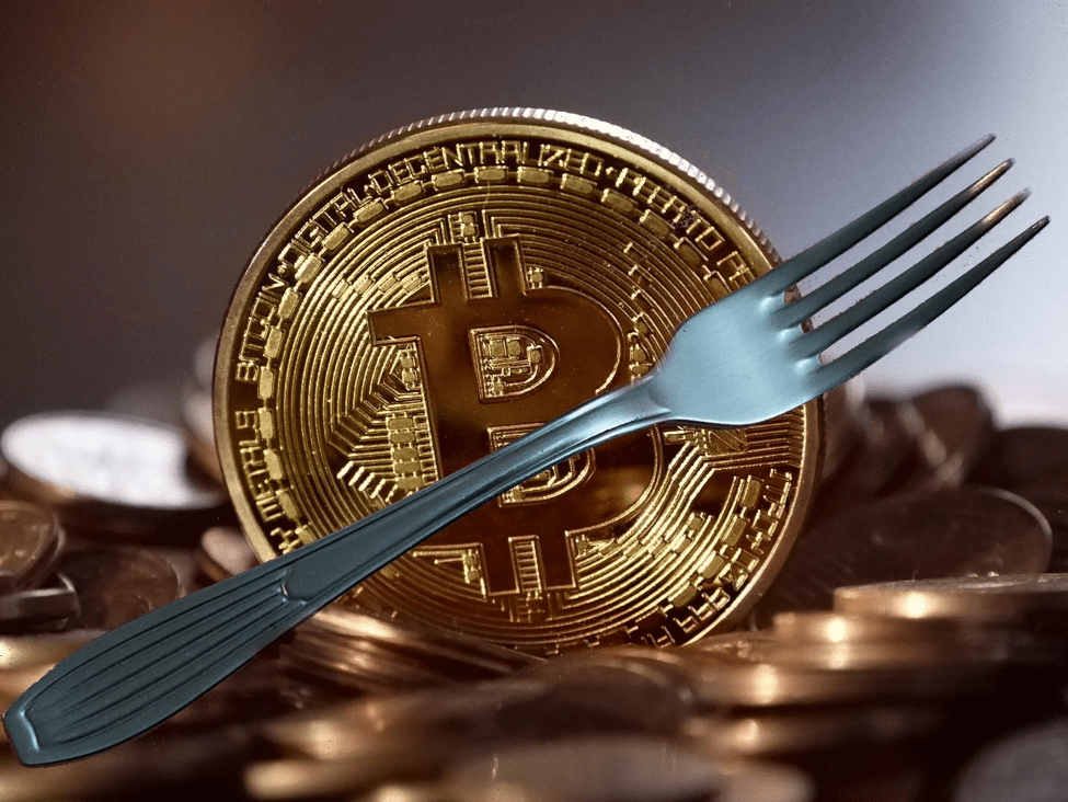 Earn crypto passive income with forks and airdrops 